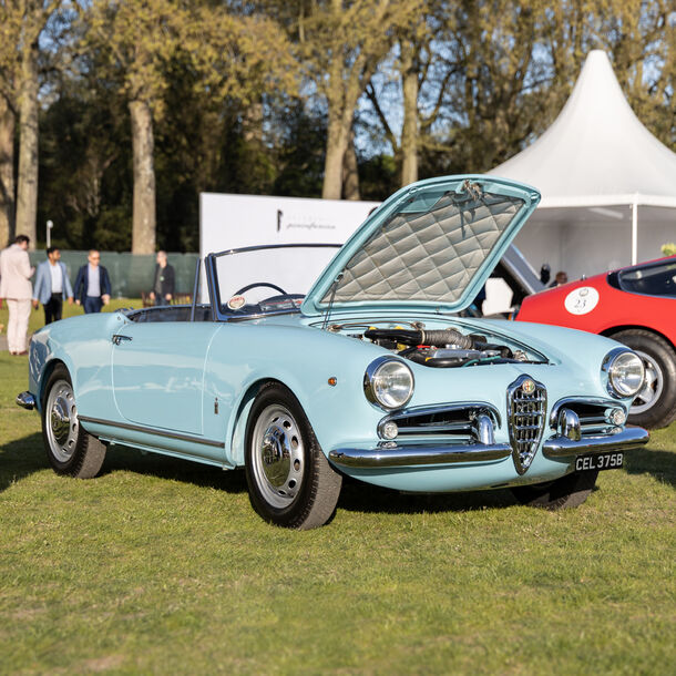 1963 Alfa Romeo Giulia Spider image
