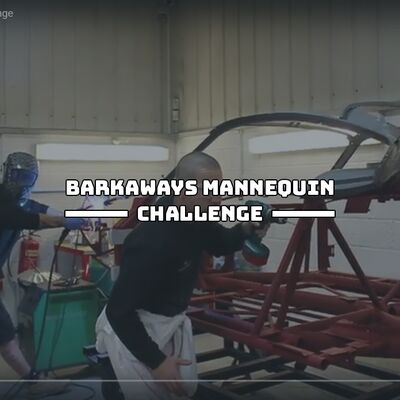 Barkaways Mannequin Challenge image